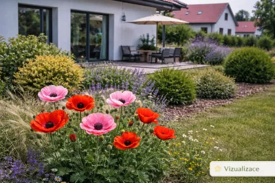 VIZUALIZACE: mák východní, oves, nepeta, levandule aj.