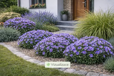 VIZUALIZACE: hvězdnice keříčkovitá Barbados, ozdobnice čínská, levandule aj.