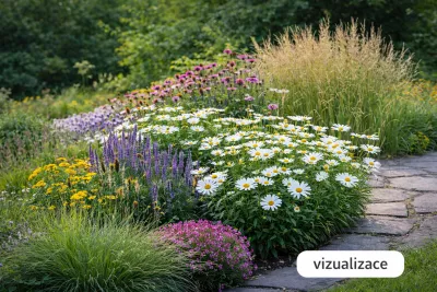 VIZUALIZACE: kopretina velkokvětá, pěchava podzimní, rozrazil, třapatka srstnatá / zlatobýl, zavinutka a bezkolenec