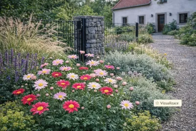 sazenice trvalky kopretiny šarlatové, mix barev / Tanacetum coccineum sazenice-kvetin.cz VIZUALIZACE: kopretina šarlatová, pelyněk, agastache, třtina ostrokvětá aj.