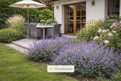 sazenice trvalky šanty velkokvěté 'Border Ballet' sazenice-kvetin.cz VIZUALIZACE: šanta, růže, třtina, třapatka