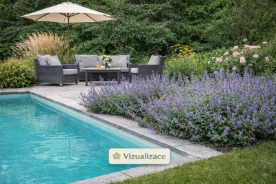 sazenice trvalky šanty velkokvěté 'Border Ballet' sazenice-kvetin.cz VIZUALIZACE: šanta, růže, třtina ostrokvětá, třapatky