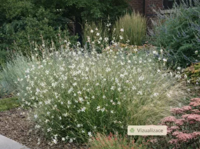 VIZUALIZACE: Svíckovec jako solitéra