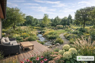 Sazenice třtina rákosovitá sazenice-kvetin.cz VIZUALIZACE: třtina rákosovitá, třapatka, hortenzie, šalvěj aj.