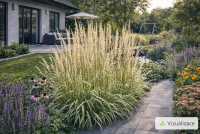 sazenice třtiny trvalky ostrokvěté 'Overdam' / Calamagrostis acutiflora Overdam sazenice-kvetin.cz VIZUALIZACE: třtina ostrokvětá, třapatky, rozchodník, agastache aj.
